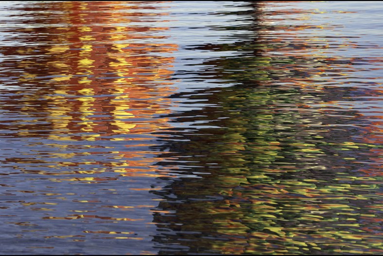 Balloon Reflections